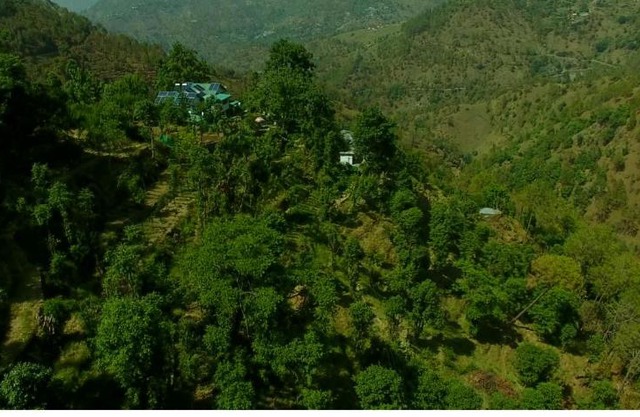 Oak hill homestay