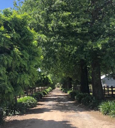 Oak Lane Guest House & Farm Stay
