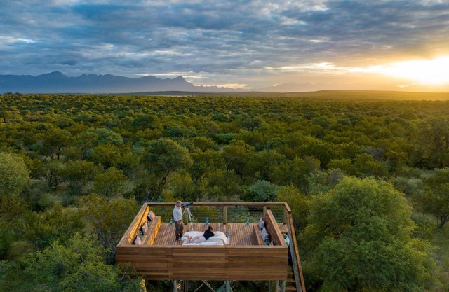 Oase by 7 Star Lodges - Greater Kruger Private 530ha Reserve