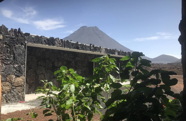 Oasis Coba Tina
