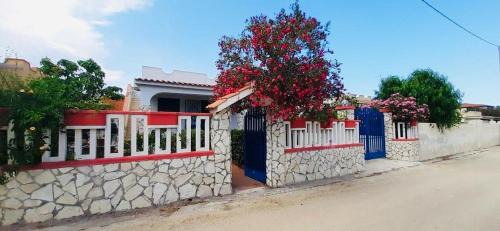 oasis home