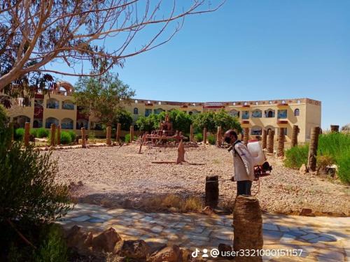 oasis panorama