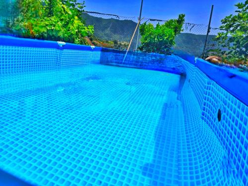 Oasis tropical