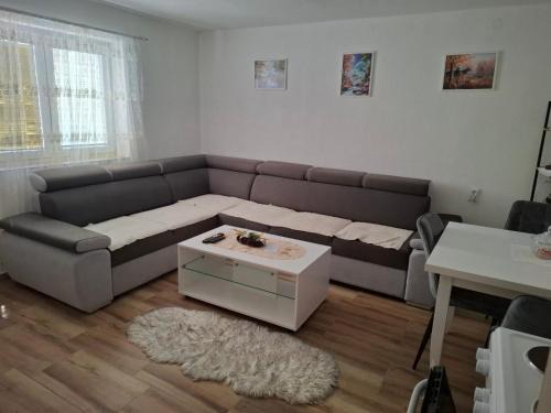 Oaza Apartment Goransko Plužine