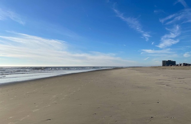 Ocean City, NJ; short walk to beach; back yard