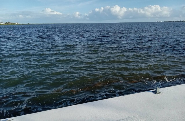 Ocean Front Living in the Florida Keys, on beautiful Big Pine Key.