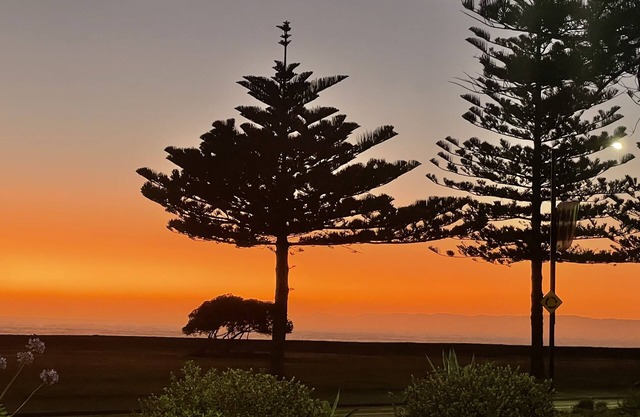 Ocean Front Studio Napier