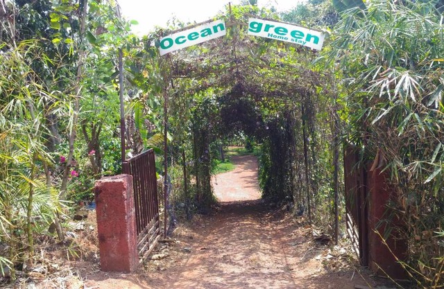 Ocean Green Kerala