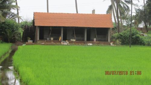 Ocean Sparrow Beach Stay