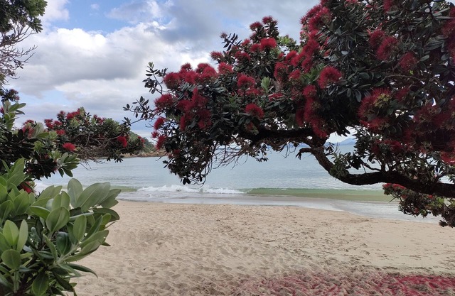 Ocean View At Whangaumu Bay. peaceful Bush and bay Views, Privately Positioned