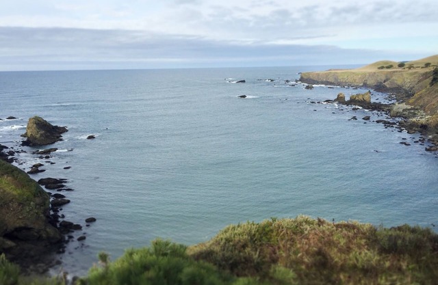 Frente al mar 'Desire' Albion Mendocino