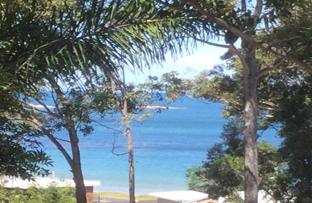 Vistas al mar, gomas manchadas y burrawangs