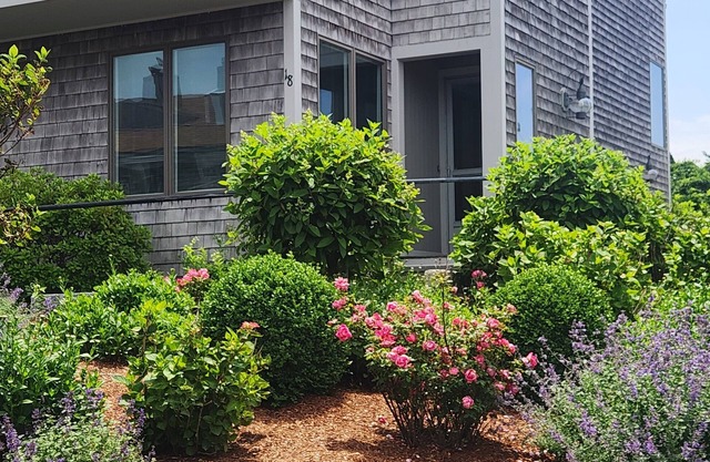 Oceanfront 3BR condo. Labor Day Week open! Book now! Sept/Oct discounted rates!