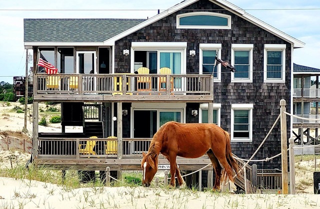 4x1662, Dolphin Watch / Oceanfront / 4 habitaciones / 2 baños completos
