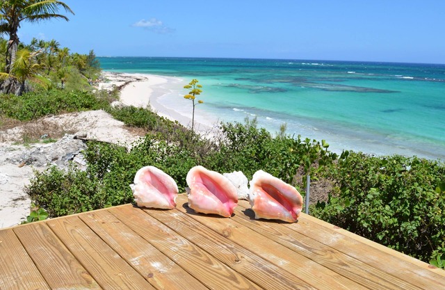 Casa frente al mar - nueva casa de Eleuthera
