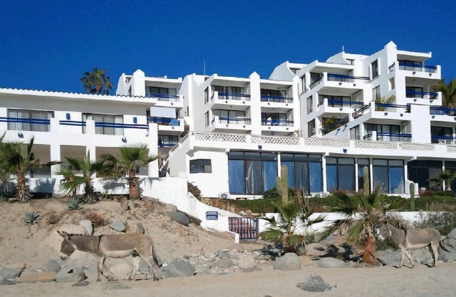 Gema de condominio frente al mar!