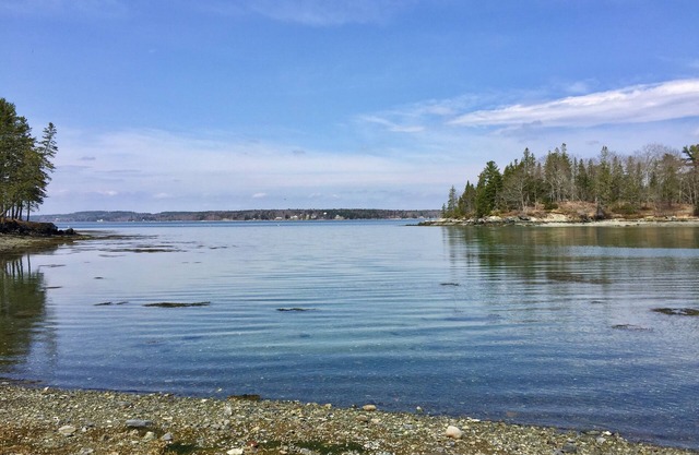 Oceanfront Cottage at Acadia National Park, Bar Harbor/Little Puffin Cottage