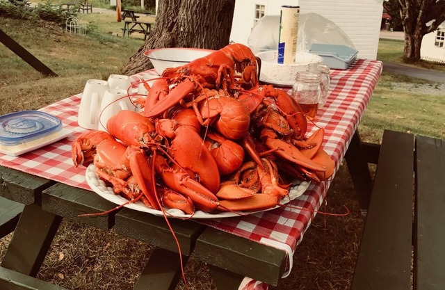 Oceanfront Cottage at Acadia National Park, Bar Harbor/Piper Cottage