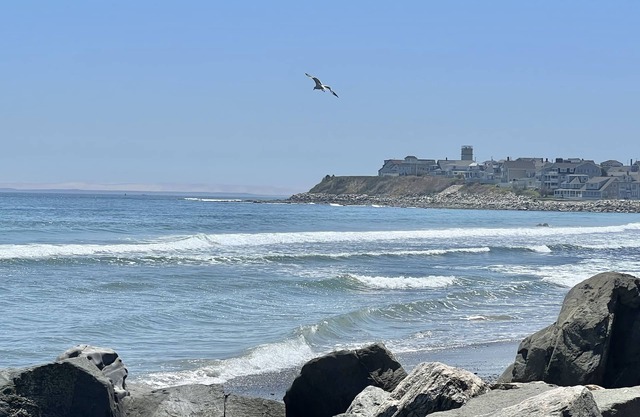 Oceanfront, private balcony, stunning panoramic views of the Atlantic
