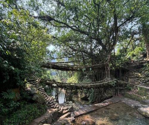 Odyssey Stays Nongriat - 3Kms trek from Main Road