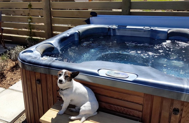 Oh so peaceful! Stunning rural view, hot spa pool,small dogs welcome.