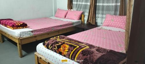 Olan Homestay