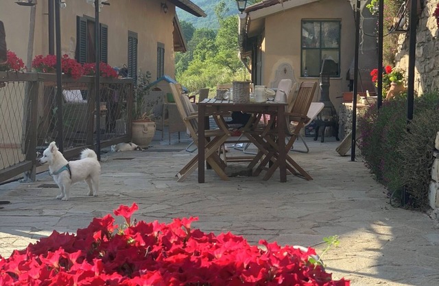 Old Barn in Cascina on the Langa Astigiana among the badlands with pets allowed