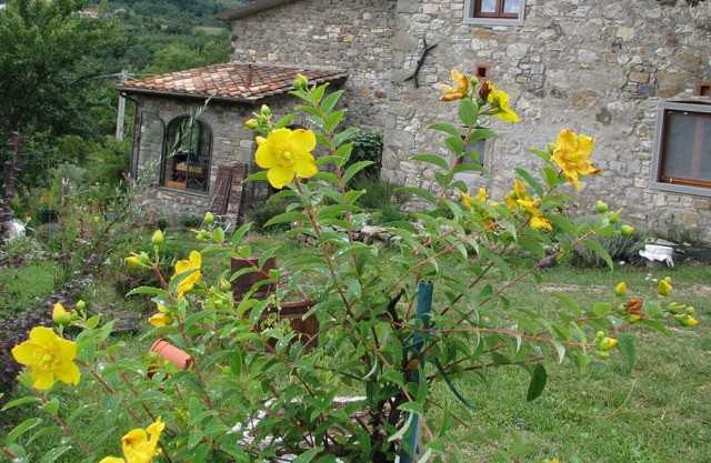 Antiguo granero restaurado piedra, con piscina privada y vistas al valle