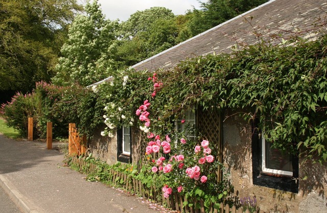 Old Toll Cottage -Delightful restaurada cabaña - gran jardín Mínimo 3 días