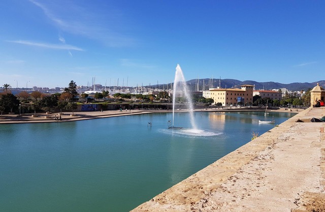 Palacio de la ciudad vieja en el encanto típico mallorquín para 2-6 personas