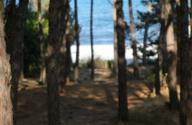 APARTAMENTO OLEANDRO en primera fila, a pocos pasos de la playa (4 ASIENTOS)