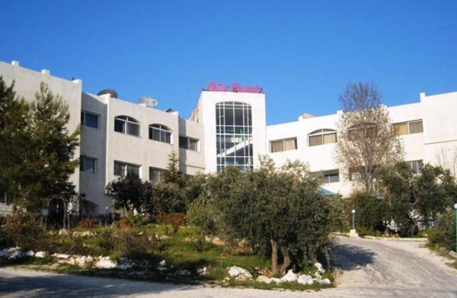 Rama de olivo del hotel