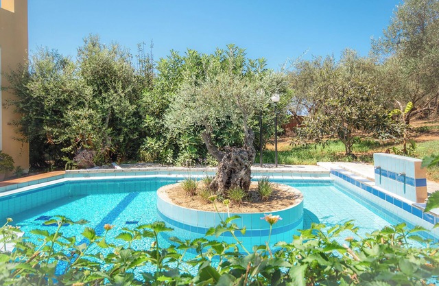 Olive Farm