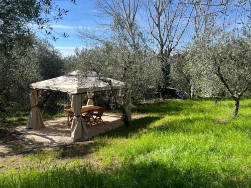 Olive Garden Loft - Settignano