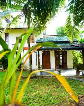 Olive Green Villa in Negombo for Airport Transit
