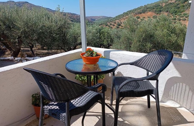 Olive metohi return to nature