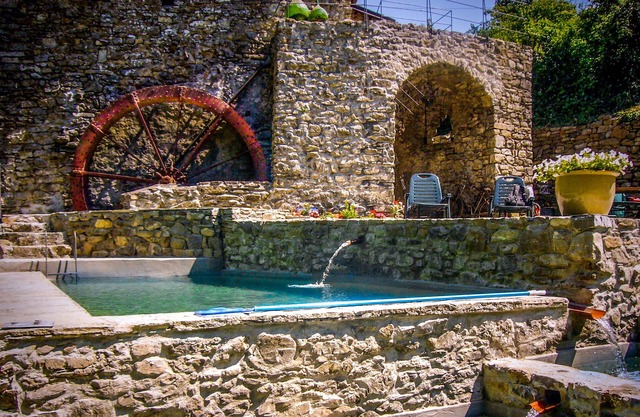 OLIVE MILL Paradise on earth, fresh water swimming pool, organic vegetable patch