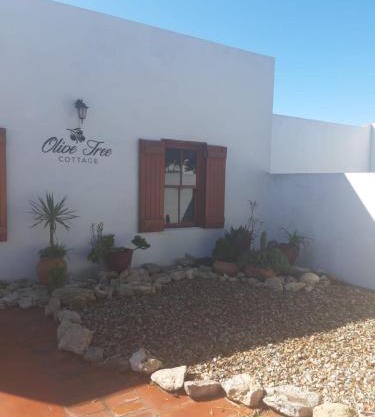 Olive Tree Cottage