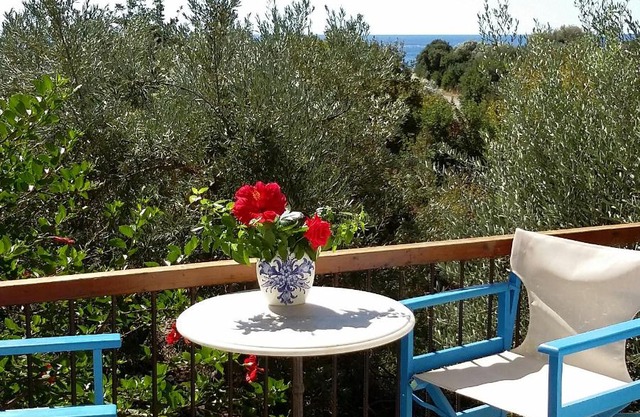 Olive tree Cottages