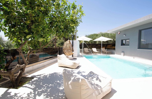 Olive Tree
