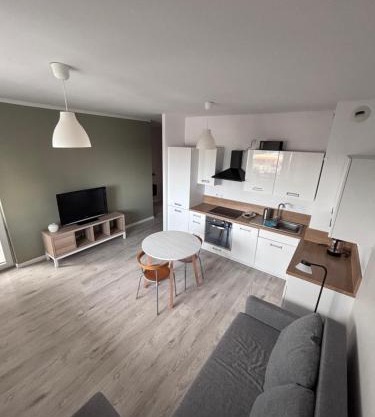 Oliwkowy Apartament Hennela