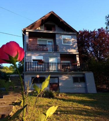 OLOR Apartman 2 - Banoštor