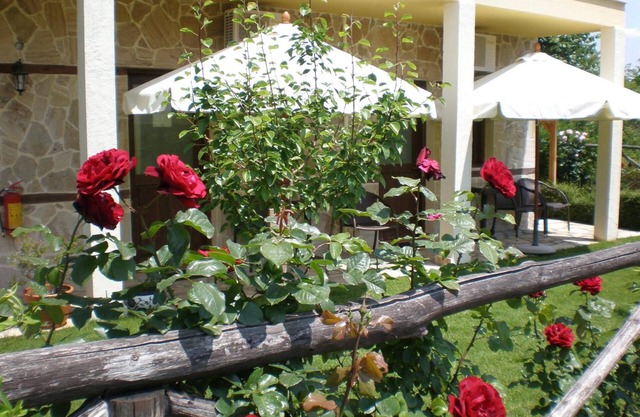 Olympia Guesthouse