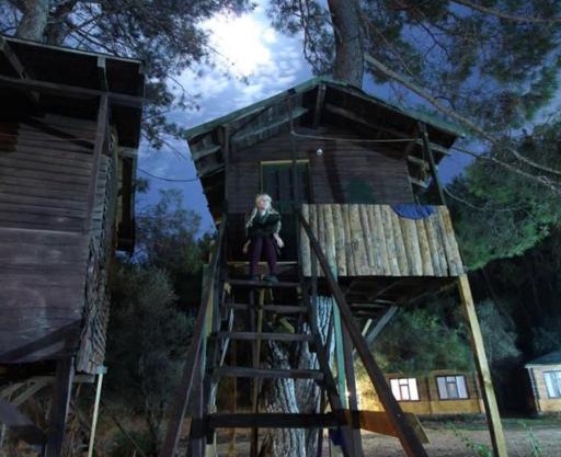 Olympos Woods