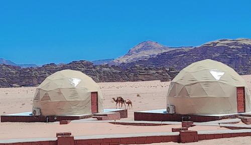 Omar Ali Luxury Camp
