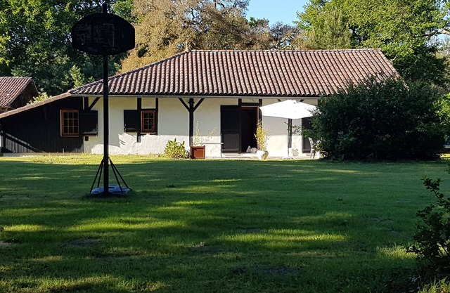 En Airial landais 8000 m², 6 pers. Casa, 3 habitaciones