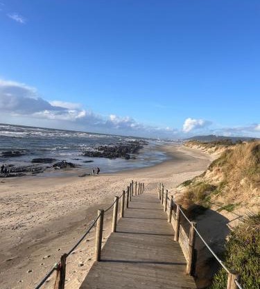 On the Beach at Amorosa