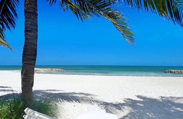 Frente a la playa! Familia amable! - Arena Blanca - Palmeras