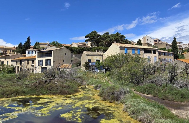 On the edge of a salt pond, house with terrace facing the water and pink flamingos