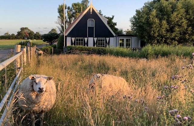En el lugar más hermoso del este de Texel.